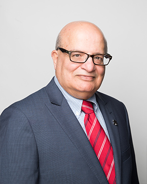 Anil Chhibber - Ketek Group